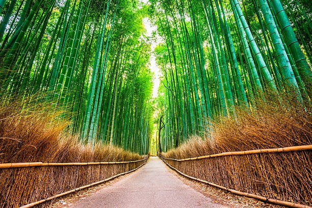 Kyoto